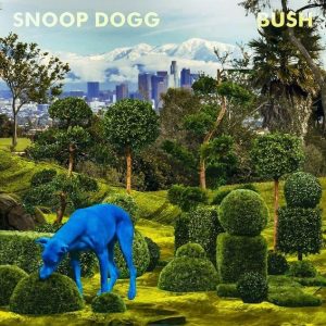 BUSH