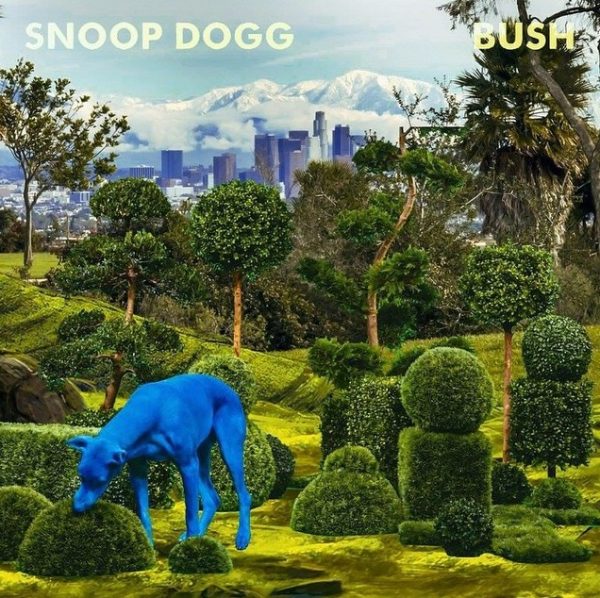 BUSH