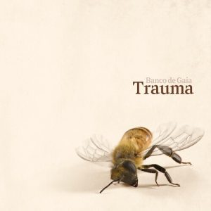 TRAUMA