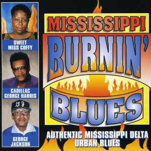 Mississippi Burnin Blues / Various